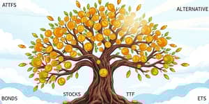 The Investing Playbook: From Basics to Advanced Strategies